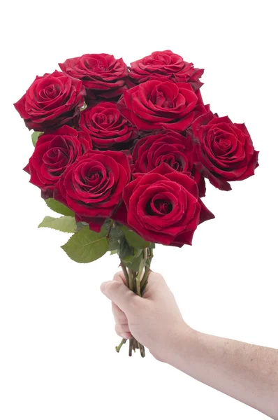 Rosas vermelhas para você — Fotografia de Stock