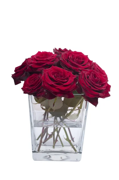 Bando de flores vermelhas rosa em um pequeno vaso — Fotografia de Stock