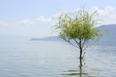 prespa Gölü Milli Parkı