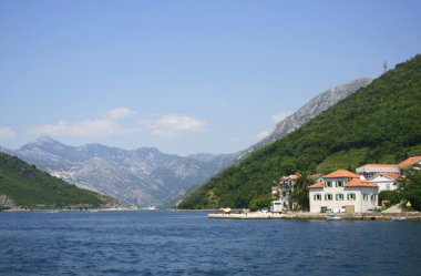 Kotor Körfezi, boka kotorska