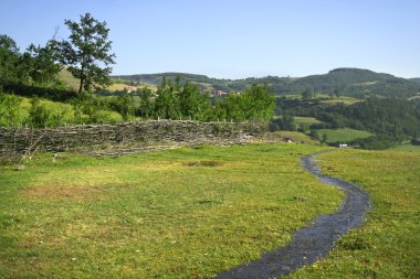 Creek in the field clipart