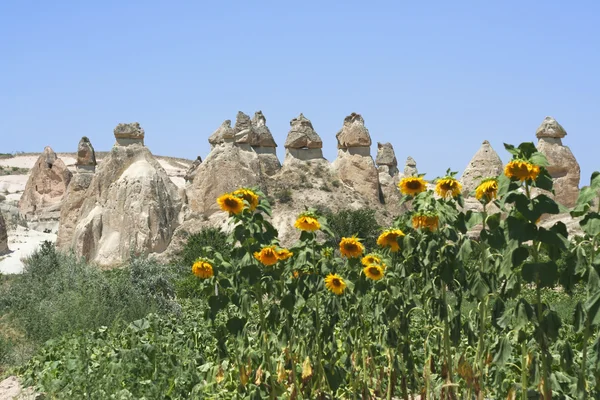 Love Valley, Cappadocia — Stockfoto