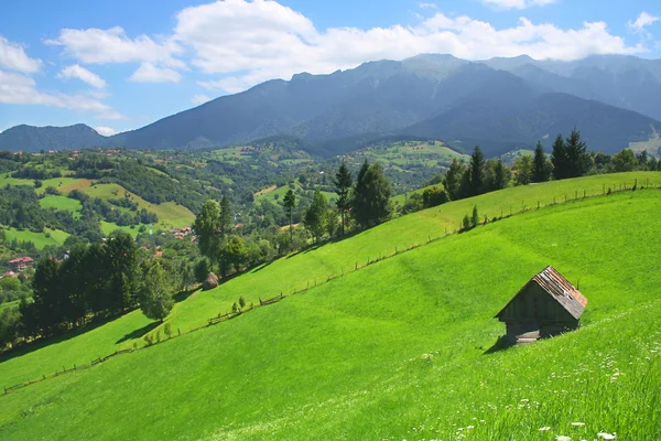 Schönes Feld mit einem einsamen Haus in Kleie — Stockfoto