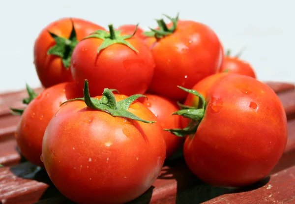 红番茄 — 图库照片