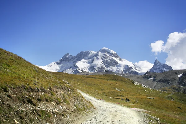 Bergweg in den Alpen — Stockfoto
