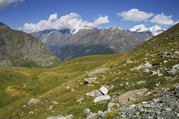 Almberge in der Schweiz — Stockfoto