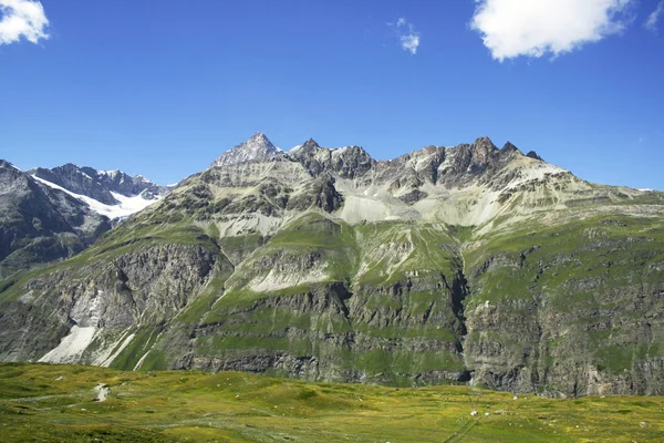 Almberge in der Schweiz — Stockfoto