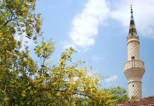 Mesquita em pequena aldeia turca — Fotografia de Stock