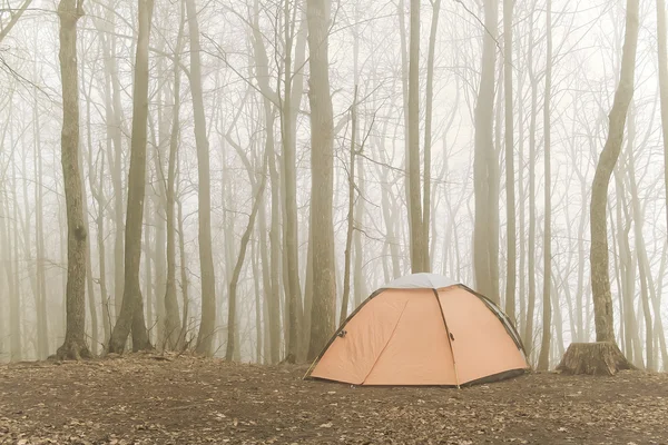 Foggy camping place — Stock Photo, Image