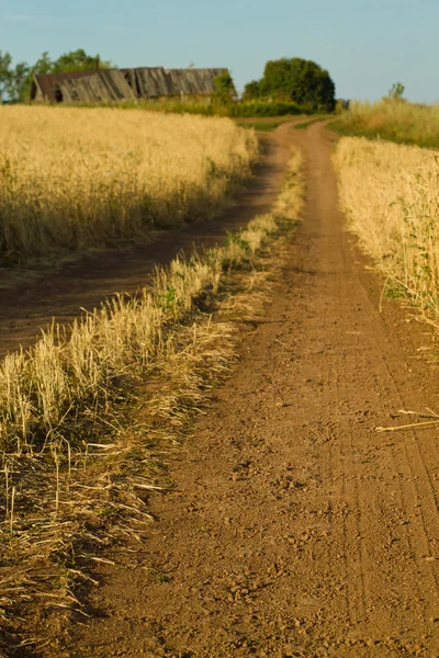 Landweg door het veld — Stockfoto