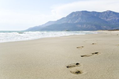 Footprints on the beach clipart