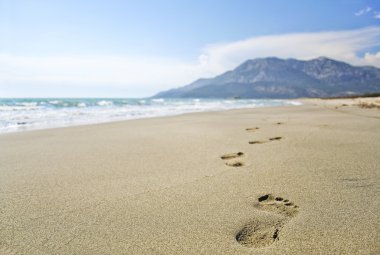 Footprints on the beach clipart