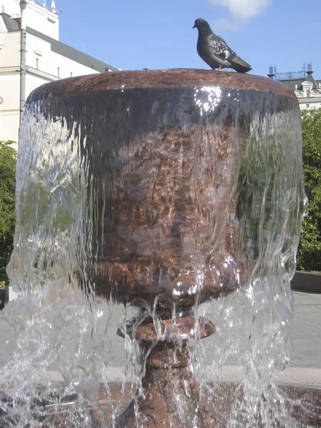 Moskwa, fontanny w pobliżu Teatr Wielki — Zdjęcie stockowe