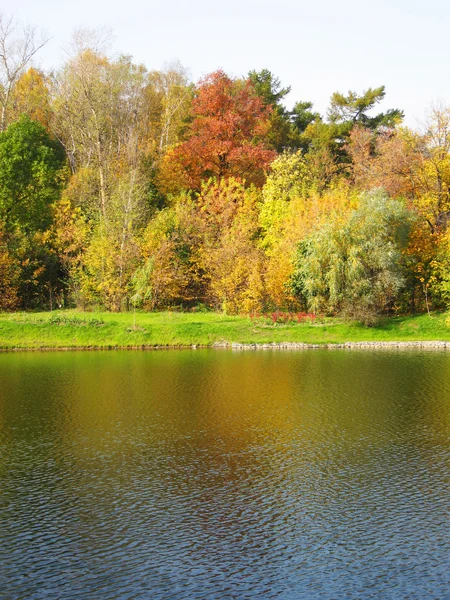 stock image Autumn landscape