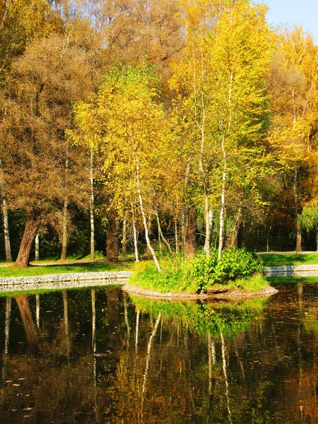 Маленький остров с жёлтыми деревьями — стоковое фото