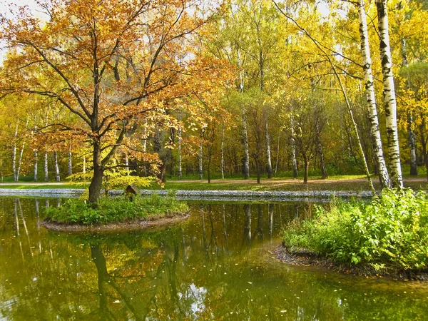 秋の風景、赤いツリー島 — ストック写真