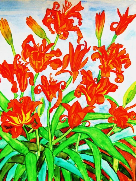 Orange daily lilies — Stock Photo, Image