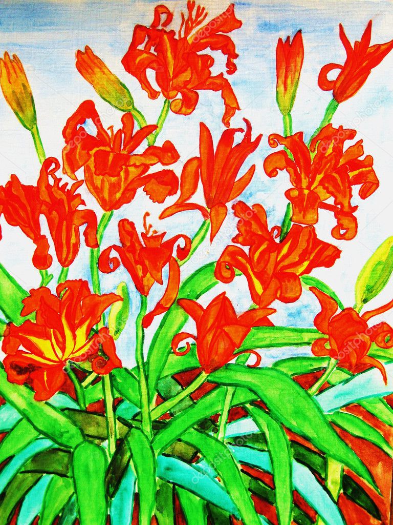 Orange daily lilies