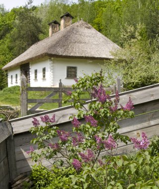 Ukrayna köy evi