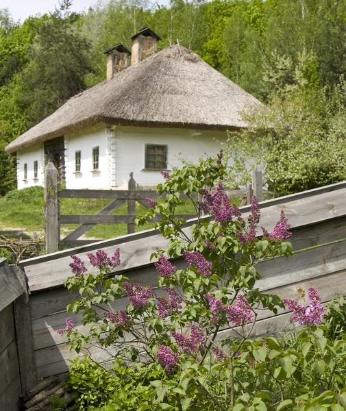 Деревенский дом на Украине — стоковое фото