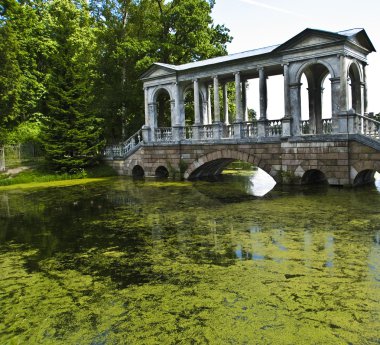 Köprü tcarskoye selo, Rusya Federasyonu