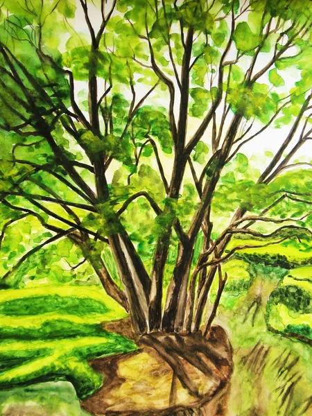 Árvore, aquarelas — Fotografia de Stock