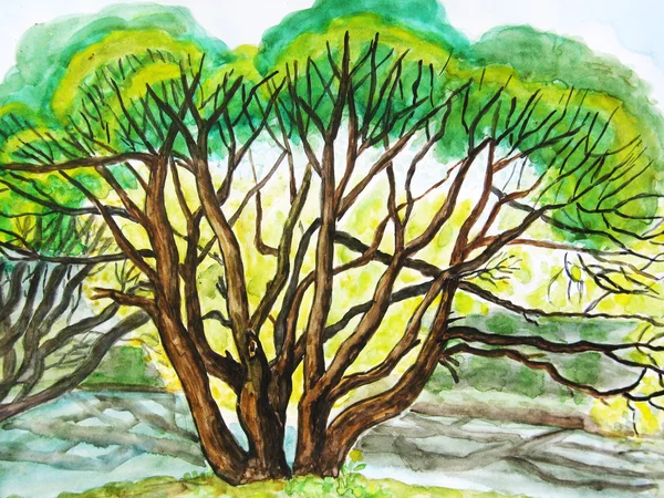 Drzewo, malarstwo — Zdjęcie stockowe
