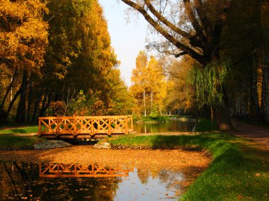 Autumn landscape with bridge clipart