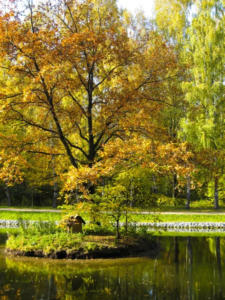 Осенний пейзаж с красным деревом — стоковое фото
