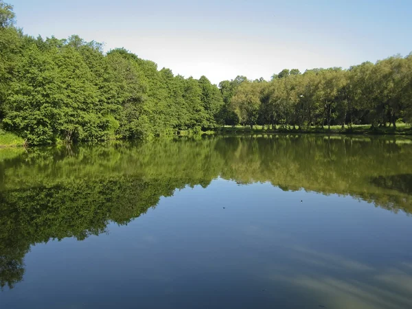 Lago y bosque —  Fotos de Stock