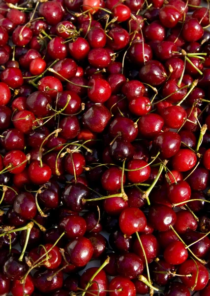 Cherries Stock Image