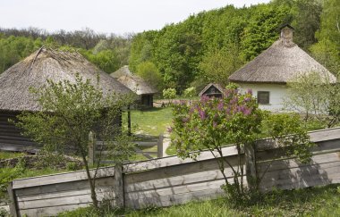 Village houses in Ukraine clipart