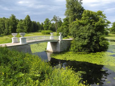 Pavlovsk, Russia clipart