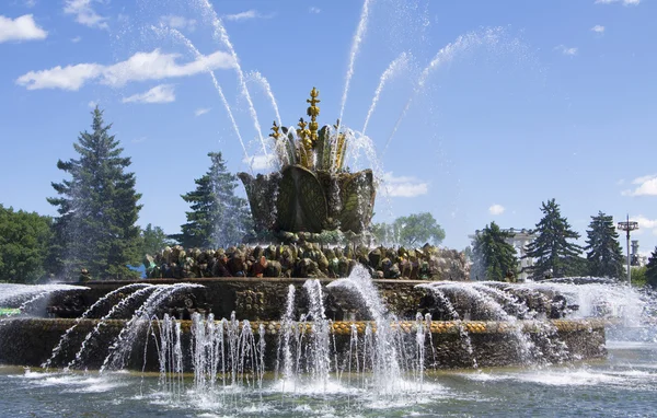 Moscow, fountain in exhibition centre — Stock Photo, Image