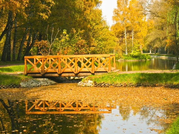 Jesień, most w parku — Zdjęcie stockowe
