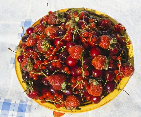 Placă cu fructe de padure — Fotografie, imagine de stoc