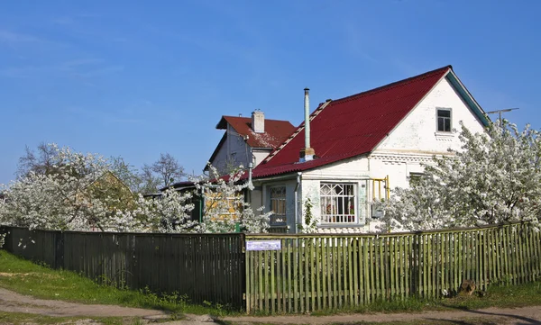 Casa com telhado vermelho e jardim de cereja em flor — Fotografia de Stock