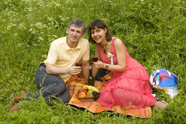 Giovane coppia su picnic — Foto Stock