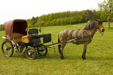 Horse with carriage clipart