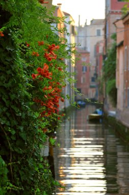 Flowers in Venice clipart