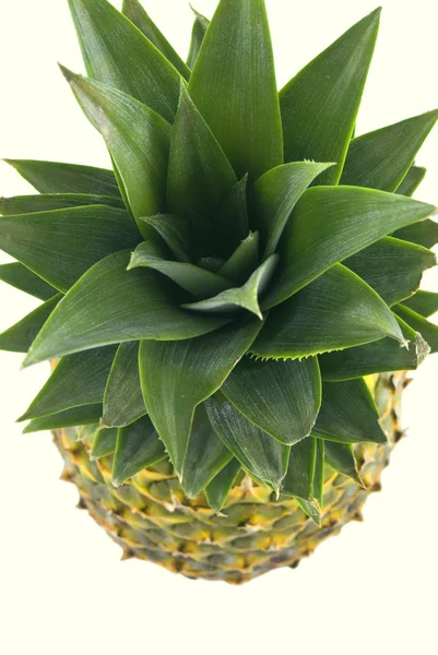 Ananas.