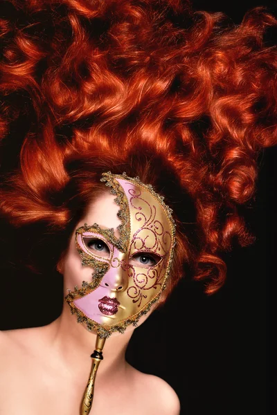 stock image The Venetian mask