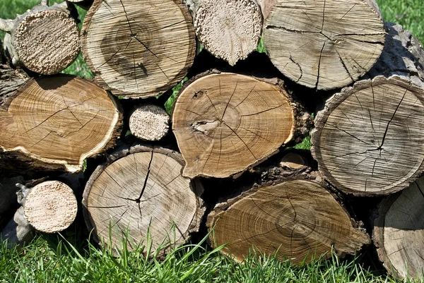 stock image Pile of wooden logs