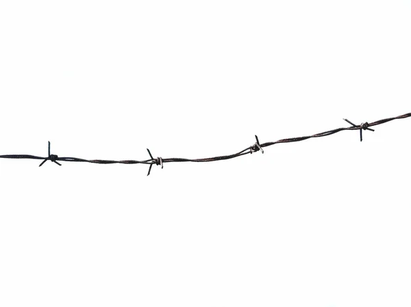 Old security barbed wire fence isolated on white for backgrounds texture — Stock Photo, Image