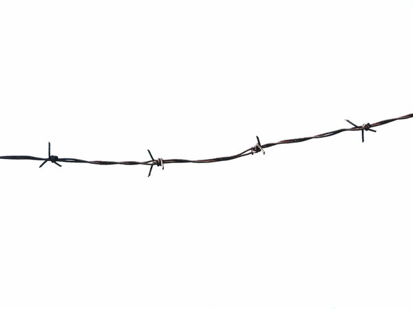Old security barbed wire fence isolated on white for backgrounds texture