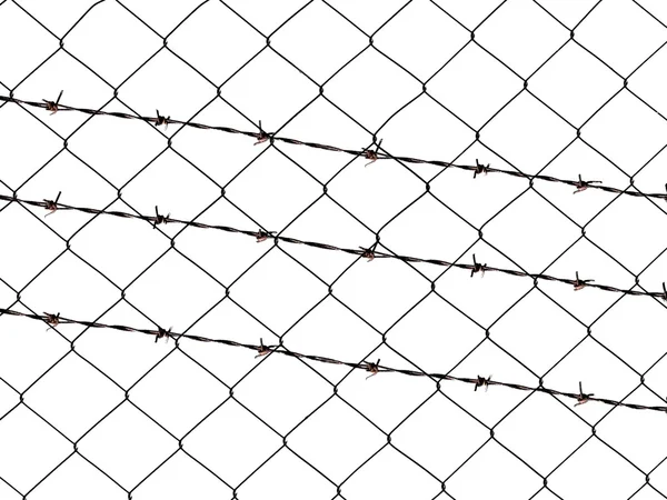 Metal barbed wire fence protection isolated on white for background texture — Stock Photo, Image
