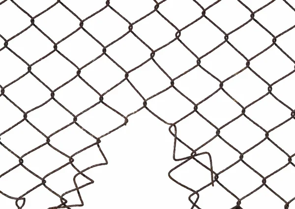 Protezione recinzione in filo metallico con foro isolato su bianco per sfondo — Foto Stock