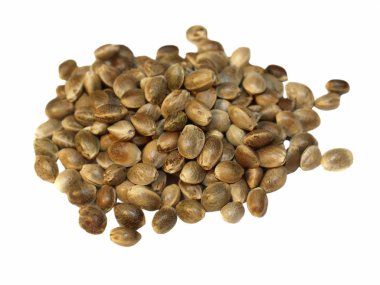 Hempseed isolated on white clipart