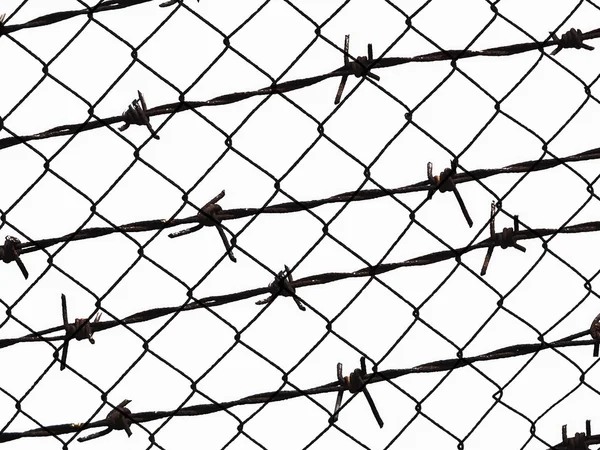 Συρματοπλέγματα φράχτη προστασία απομονωθεί σε λευκό για υφή φόντου — Φωτογραφία Αρχείου