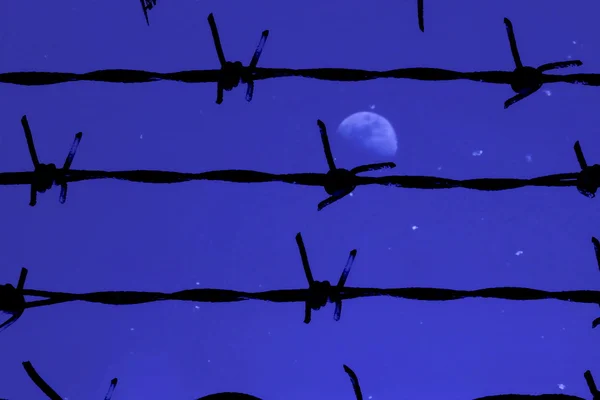 Barbed wire and night — Stock Photo, Image